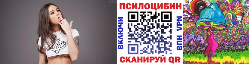 Псилоцибиновые грибы Psilocybe  Нахабино 